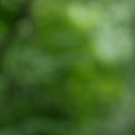 用户体验、稳定性与安全合规性并重的体育投注app排行榜对比分析 0k62b